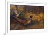 A Cock and Hen Pheasant at the Edge of a Wood-Archibald Thorburn-Framed Giclee Print