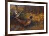 A Cock and Hen Pheasant at the Edge of a Wood-Archibald Thorburn-Framed Giclee Print