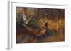 A Cock and Hen Pheasant at the Edge of a Wood-Archibald Thorburn-Framed Giclee Print