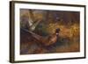 A Cock and Hen Pheasant at the Edge of a Wood-Archibald Thorburn-Framed Giclee Print