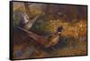 A Cock and Hen Pheasant at the Edge of a Wood-Archibald Thorburn-Framed Stretched Canvas