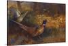 A Cock and Hen Pheasant at the Edge of a Wood-Archibald Thorburn-Stretched Canvas