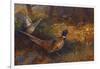 A Cock and Hen Pheasant at the Edge of a Wood-Archibald Thorburn-Framed Giclee Print