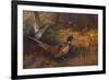 A Cock and Hen Pheasant at the Edge of a Wood-Archibald Thorburn-Framed Premium Giclee Print