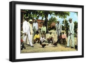 A Cock Fight, Puerto Rico, 1909-null-Framed Giclee Print