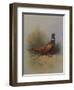 A Cock Pheasant-Archibald Thorburn-Framed Giclee Print