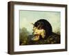 A Cocker Spaniel with a Woodcock-Arthur Fitzwilliam Tait-Framed Giclee Print