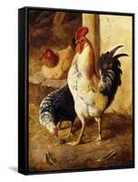 A Cockerel and Chickens in a Farmyard-Federico Jimenez Fernandez-Framed Stretched Canvas