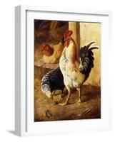 A Cockerel and Chickens in a Farmyard-Federico Jimenez Fernandez-Framed Giclee Print