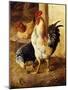 A Cockerel and Chickens in a Farmyard-Federico Jimenez Fernandez-Mounted Giclee Print