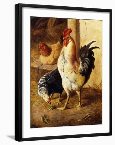 A Cockerel and Chickens in a Farmyard-Federico Jimenez Fernandez-Framed Giclee Print