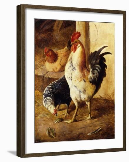 A Cockerel and Chickens in a Farmyard-Federico Jimenez Fernandez-Framed Giclee Print