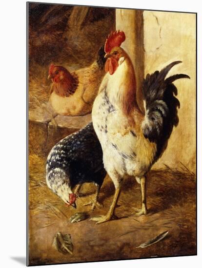 A Cockerel and Chickens in a Farmyard-Federico Jimenez Fernandez-Mounted Giclee Print