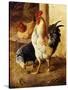 A Cockerel and Chickens in a Farmyard-Federico Jimenez Fernandez-Stretched Canvas