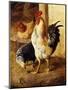 A Cockerel and Chickens in a Farmyard-Federico Jimenez Fernandez-Mounted Premium Giclee Print