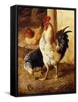 A Cockerel and Chickens in a Farmyard-Federico Jimenez Fernandez-Framed Stretched Canvas