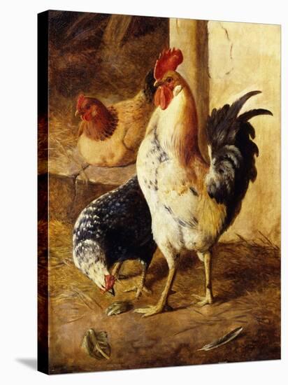 A Cockerel and Chickens in a Farmyard-Federico Jimenez Fernandez-Stretched Canvas