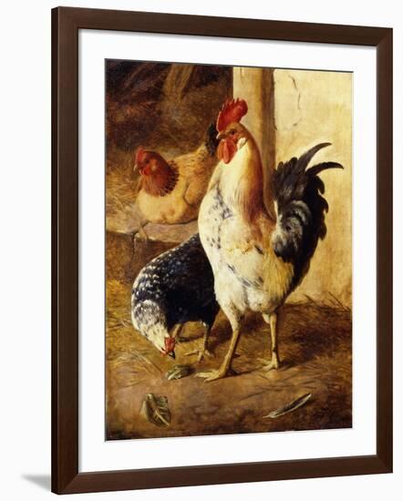 A Cockerel and Chickens in a Farmyard-Federico Jimenez Fernandez-Framed Giclee Print