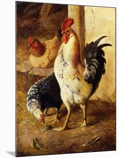 A Cockerel and Chickens in a Farmyard-Federico Jimenez Fernandez-Mounted Giclee Print