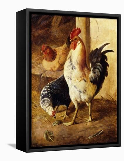 A Cockerel and Chickens in a Farmyard-Federico Jimenez Fernandez-Framed Stretched Canvas
