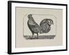 A Cockerel.-Thomas Bewick-Framed Giclee Print