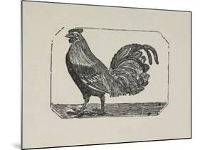 A Cockerel.-Thomas Bewick-Mounted Giclee Print