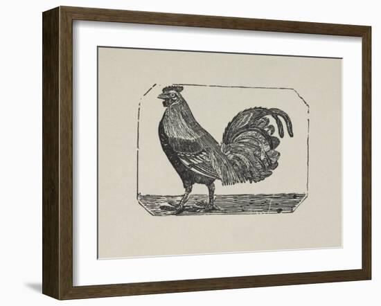 A Cockerel.-Thomas Bewick-Framed Giclee Print