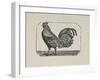 A Cockerel.-Thomas Bewick-Framed Giclee Print