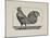 A Cockerel.-Thomas Bewick-Mounted Giclee Print