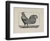 A Cockerel.-Thomas Bewick-Framed Premium Giclee Print