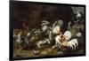 A Cockfight with other Poultry in a Farmyard-Frans Snyders-Framed Giclee Print