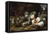 A Cockfight with other Poultry in a Farmyard-Frans Snyders-Framed Stretched Canvas