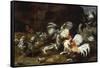 A Cockfight with other Poultry in a Farmyard-Frans Snyders-Framed Stretched Canvas