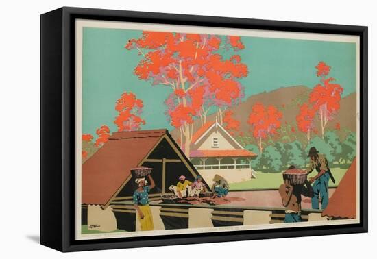 A Cocoa Estate in Trinidad-Frank Newbould-Framed Stretched Canvas