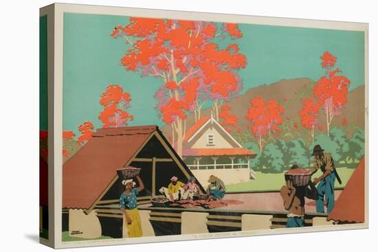 A Cocoa Estate in Trinidad-Frank Newbould-Stretched Canvas