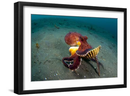 Premium Photographic Print, , large