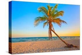 A Coconut Tree on a Deserted Tropical Beach at Sunset-Kamira-Stretched Canvas