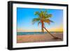 A Coconut Tree on a Deserted Tropical Beach at Sunset-Kamira-Framed Photographic Print