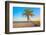 A Coconut Tree on a Deserted Tropical Beach at Sunset-Kamira-Framed Photographic Print