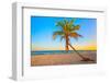 A Coconut Tree on a Deserted Tropical Beach at Sunset-Kamira-Framed Photographic Print