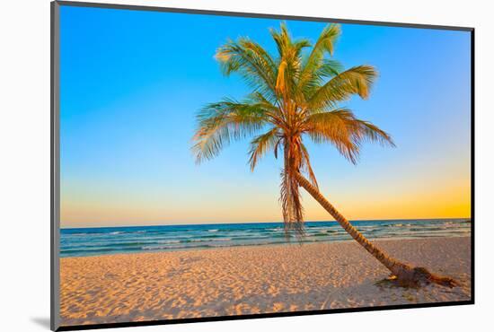 A Coconut Tree on a Deserted Tropical Beach at Sunset-Kamira-Mounted Photographic Print