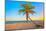 A Coconut Tree on a Deserted Tropical Beach at Sunset-Kamira-Mounted Photographic Print