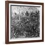 A Coffee Plantation, Jamaica, C1900s-CH Graves-Framed Photographic Print