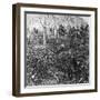 A Coffee Plantation, Jamaica, C1900s-CH Graves-Framed Photographic Print