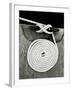 A Coiled Rope on a Dock-Rip Smith-Framed Photographic Print