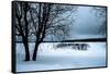 A Cold Winter Memory-Philippe Sainte-Laudy-Framed Stretched Canvas