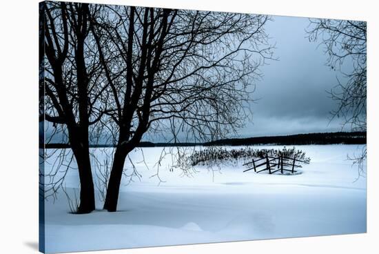 A Cold Winter Memory-Philippe Sainte-Laudy-Stretched Canvas