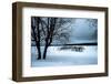 A Cold Winter Memory-Philippe Sainte-Laudy-Framed Photographic Print