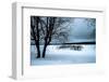 A Cold Winter Memory-Philippe Sainte-Laudy-Framed Photographic Print