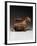 A Colima Dog, Protoclassic, Circa 100 B.C., A.D. 250-null-Framed Giclee Print